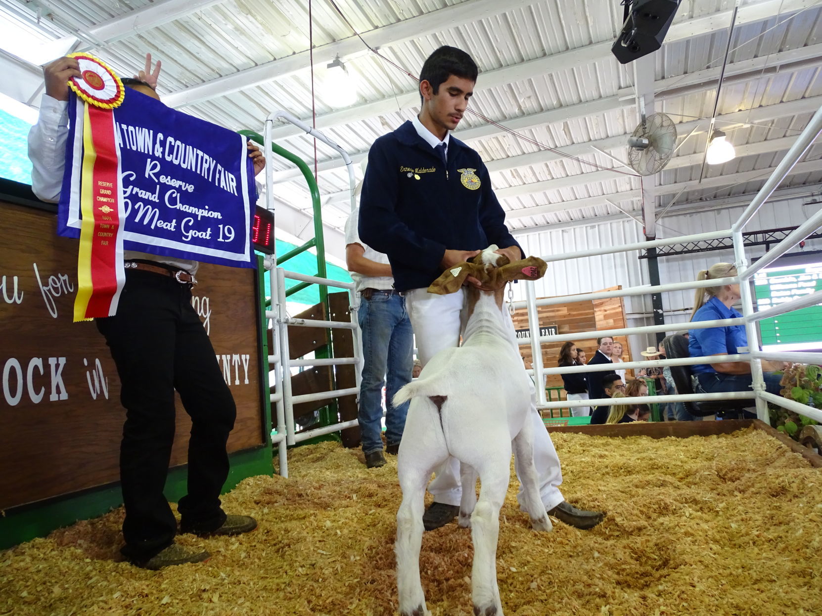 Junior Livestock Auction 2019